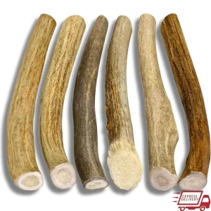 Natural Deer Antler Dog Chews