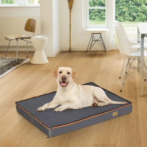 Large Padded Orthopedic Dog Bed