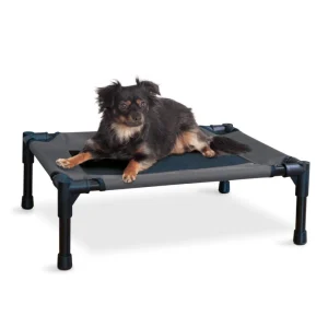 Pet Cot Elevated Dog Bed