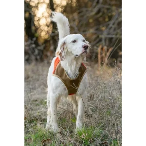 Serious Protection Dog Vest